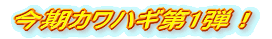 JnM1eI